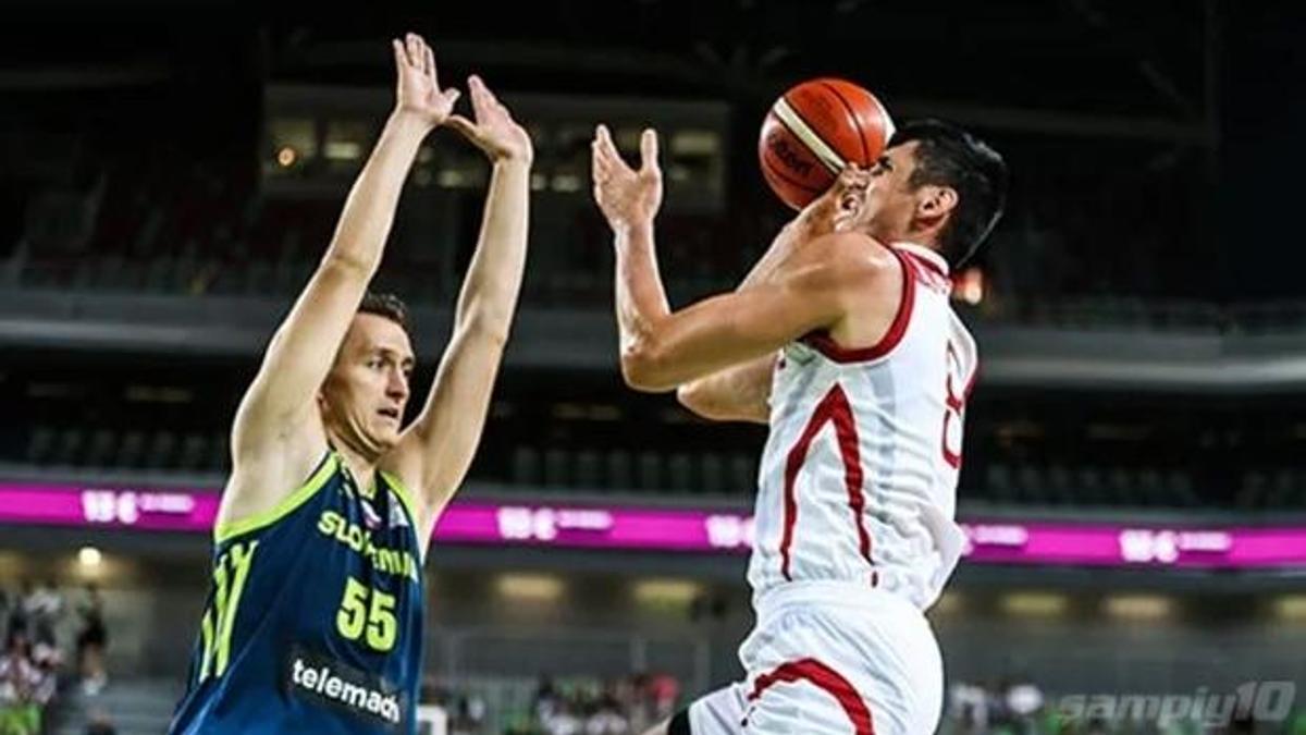 Ersan İlyasova'yı taşıyan uçak kuş sürüsüne çarptı