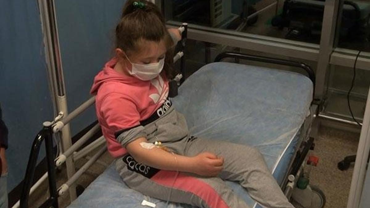 Başıboş gezen pitpul, 8 yaşındaki çocuğa saldırdı