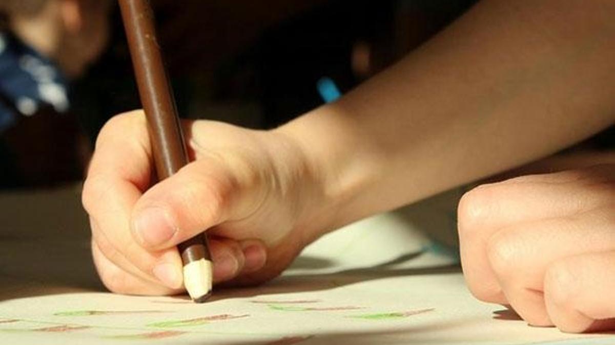 Otizmli çocukların aileleri Meclisten çıkacak düzenlemeyi bekliyor