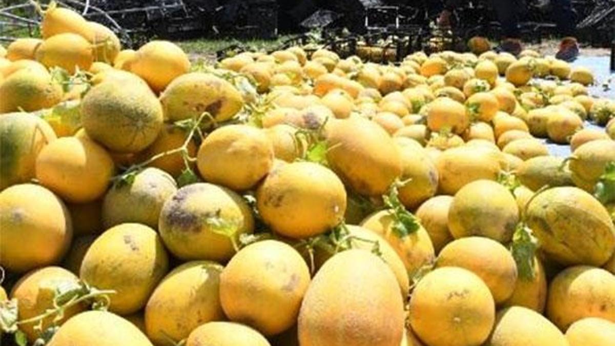 20 liradan satışa çıktı! Talebe göre...