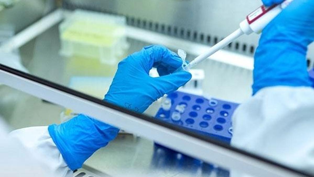 Tamamen iyileşen kanser türlerinin sayısı artıyor