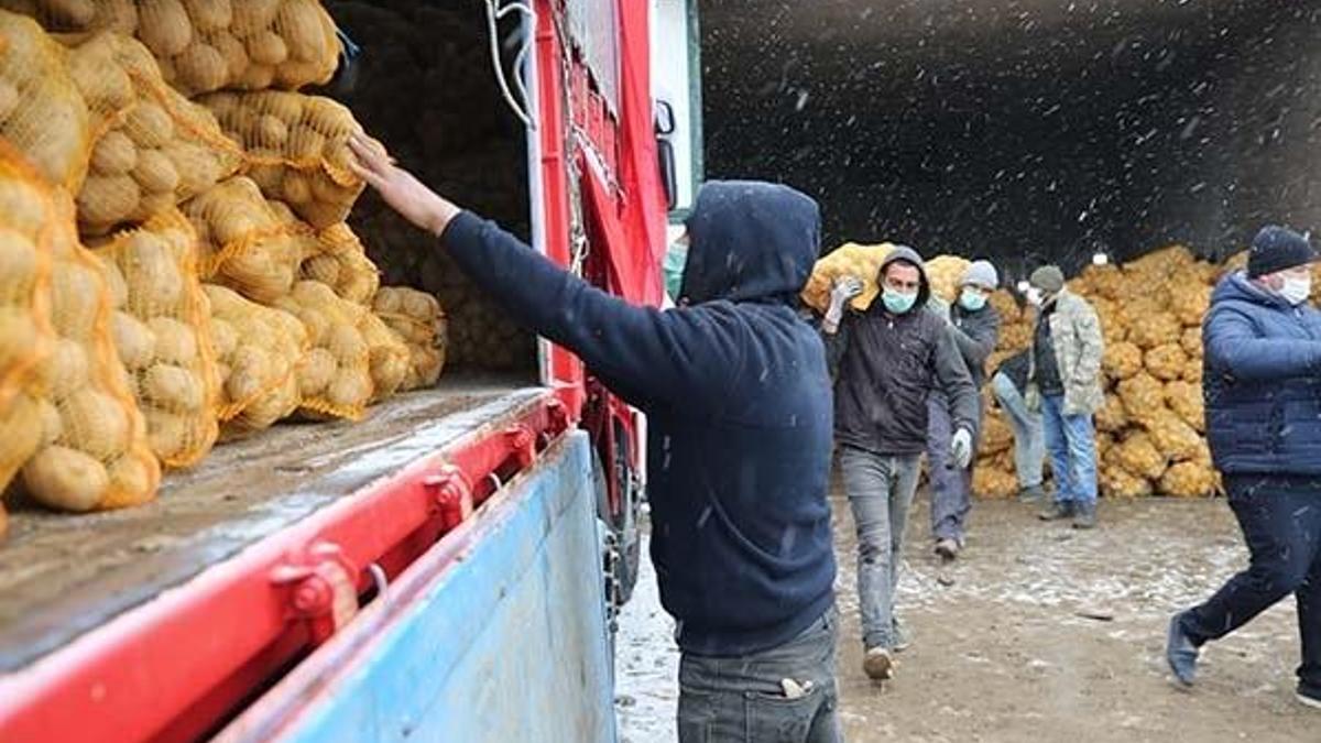 Patates, soğan ve çeltiği Toprak Mahsulleri Ofisi çiftçiden alıp ücretsiz dağıtacak...