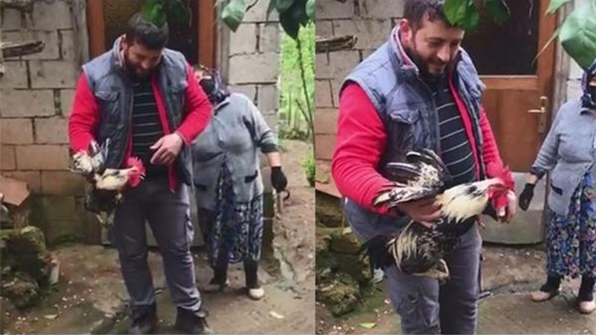 Köyde ilginç olay! Horozu tam kesecekken şoka uğradılar