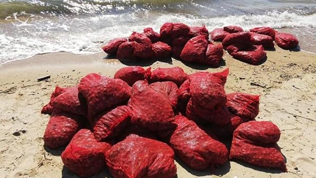 Edirne'de, 876 kilo kaçak midyeye 449 bin lira ceza!