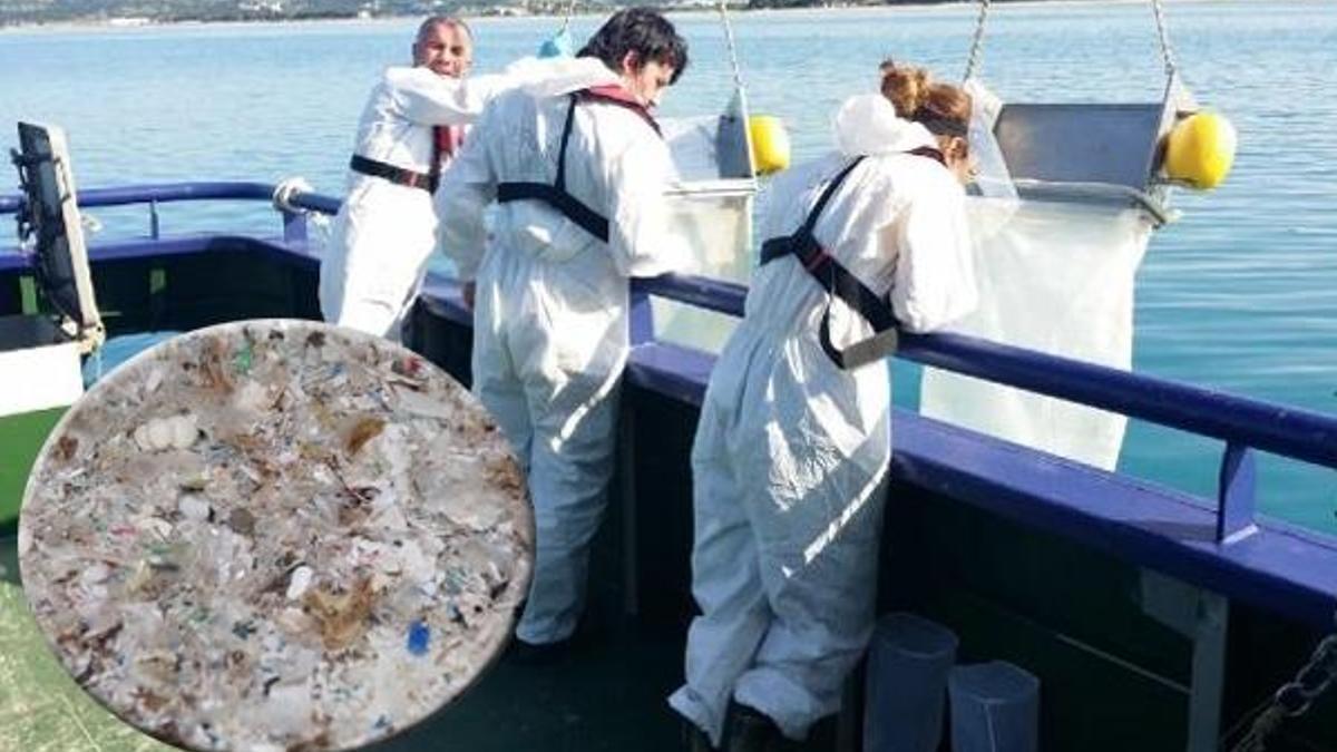 Karadeniz'de büyük tehlike! Her geçen gün artıyor, balıklarda tespit edildi