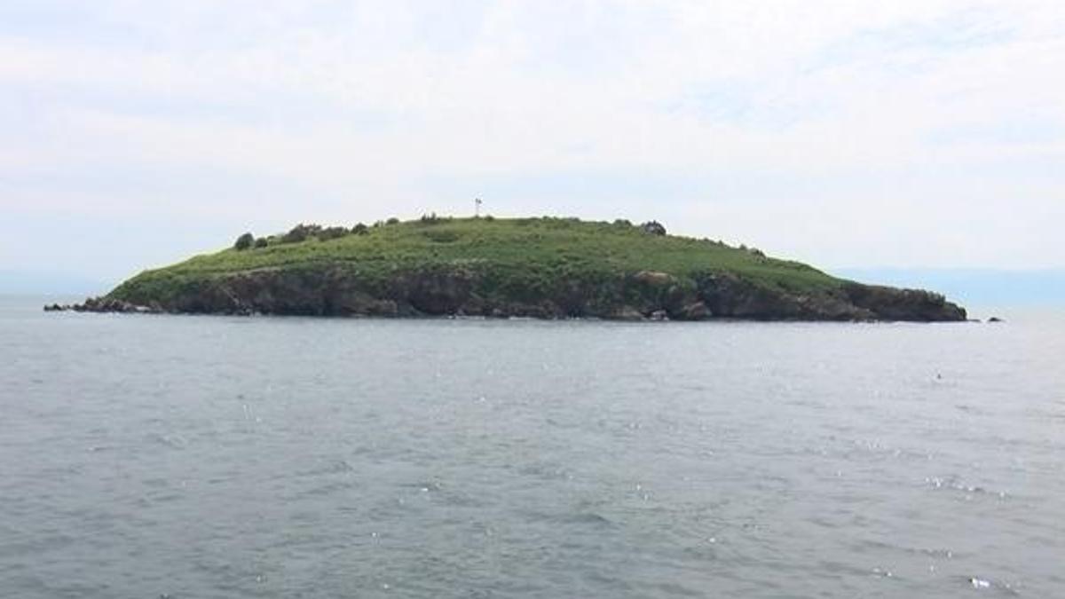 Tavşan Adası kararı! İstanbul'da bir ilk...