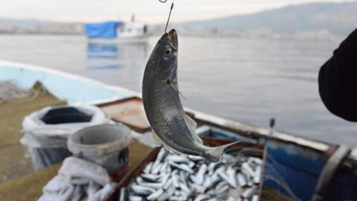 Balık avı yasağı ne zaman başlıyor? 2021 İstanbul’da balık avı devam ediyor mu, av sezonu sona erdi mi?