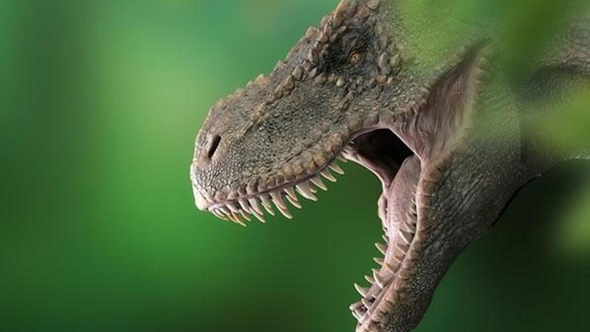 Dünyada 2,5 milyar T-rex dinozor türü yaşamış olabilir
