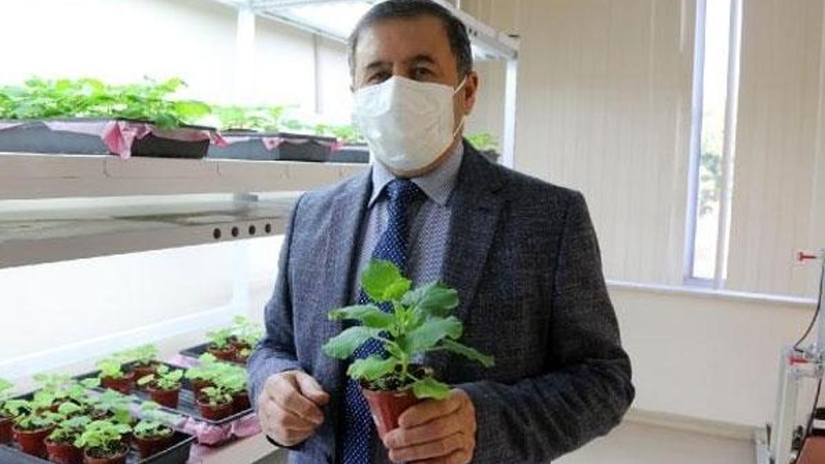 Üniversitesiteden koronavirüse karşı ilaç!