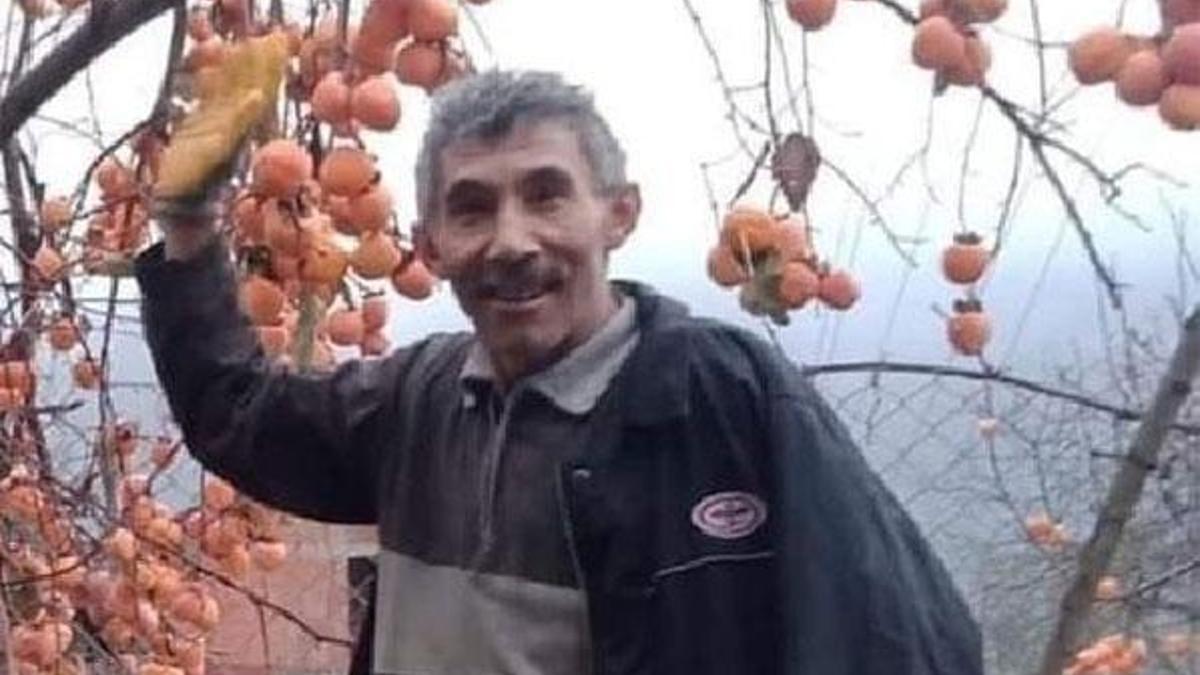 Kestiği ağacın altında kalarak öldü