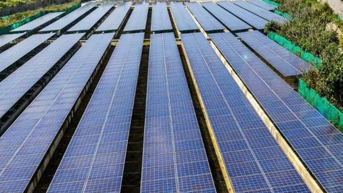 Margün Enerji halka arz ne zaman? Margün Enerji halka arz hangi banka üzerinden yapılacak?