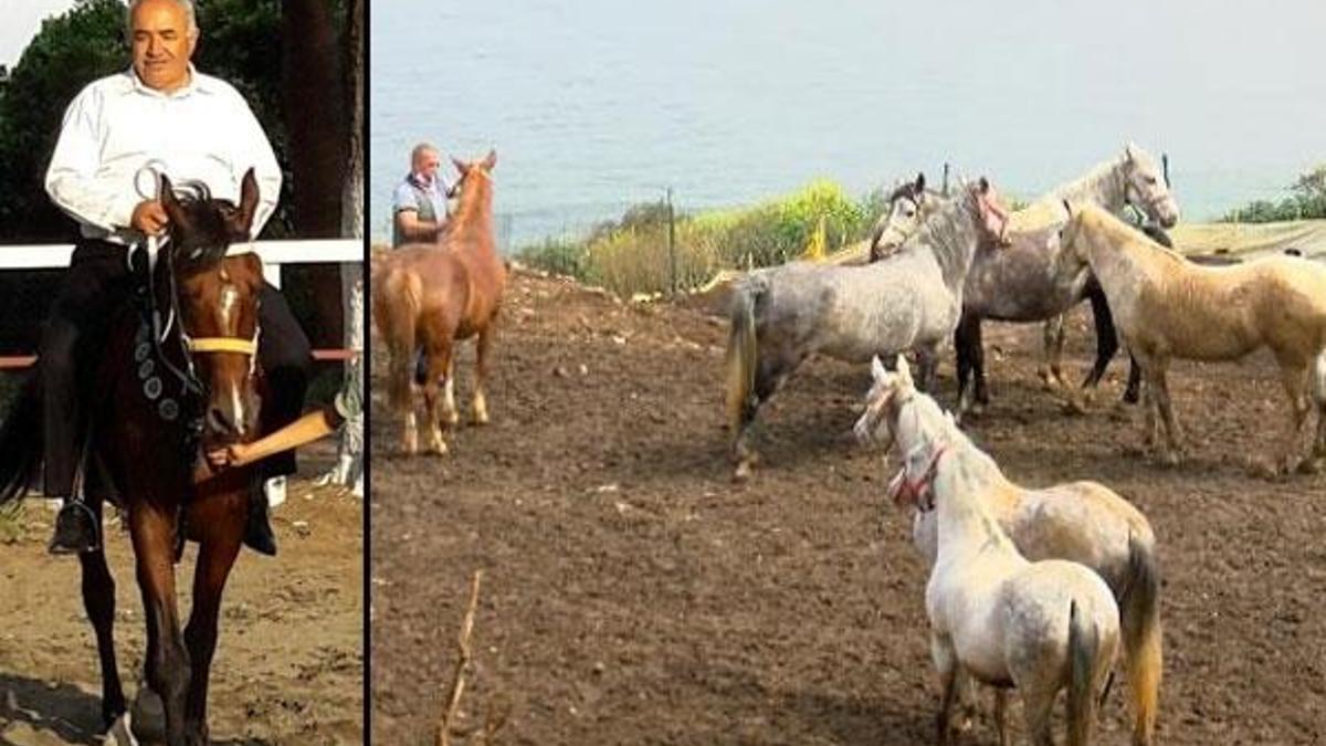 Kayıp atlar için flaş iddia! Jet açıklama geldi...