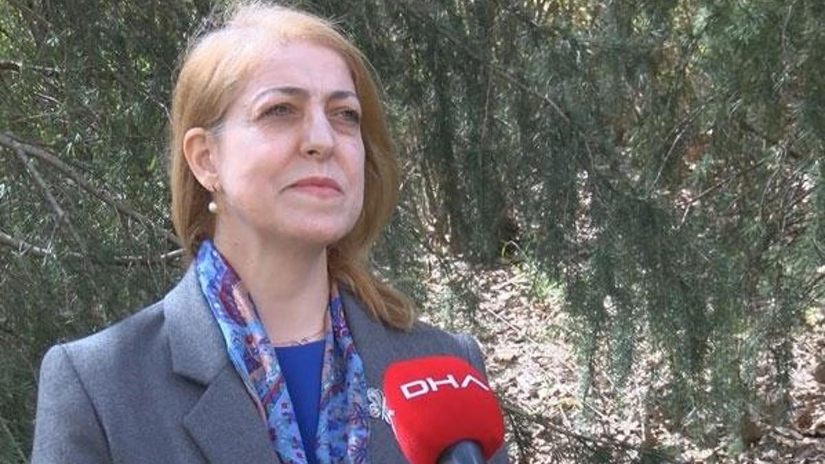 Prof. Dr. Sevinç Asilhan açıkladı: İstanbul'un meteorolojik bütün özellikleri değişecek