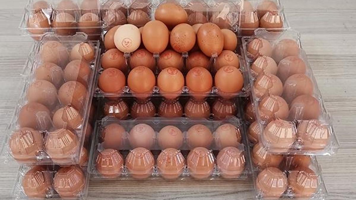 Yumurta fiyatlarına zam gelecek mi? Açıklama yapıldı