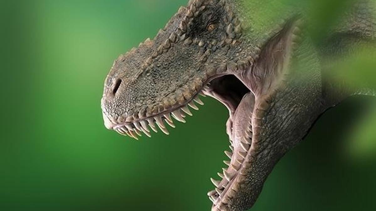 'T-Rex' dinozoru, sanılandan oldukça yavaş yürüyormuş