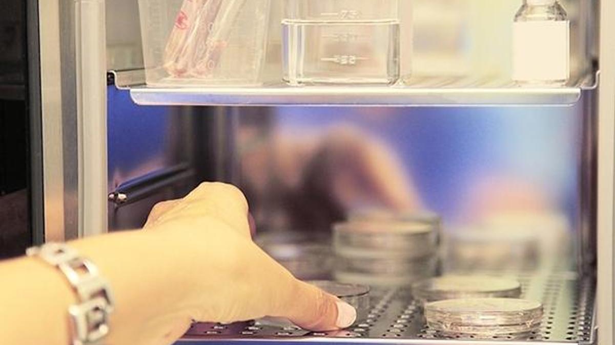 Yumurta dondurmak için ideal yaş; 35 ve öncesi