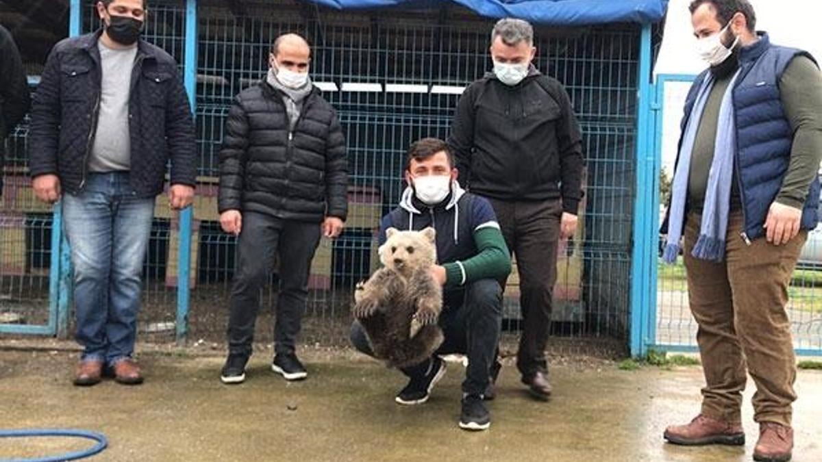 Şaşkına döndüler! Evin bodrumundan yavru ayı çıktı