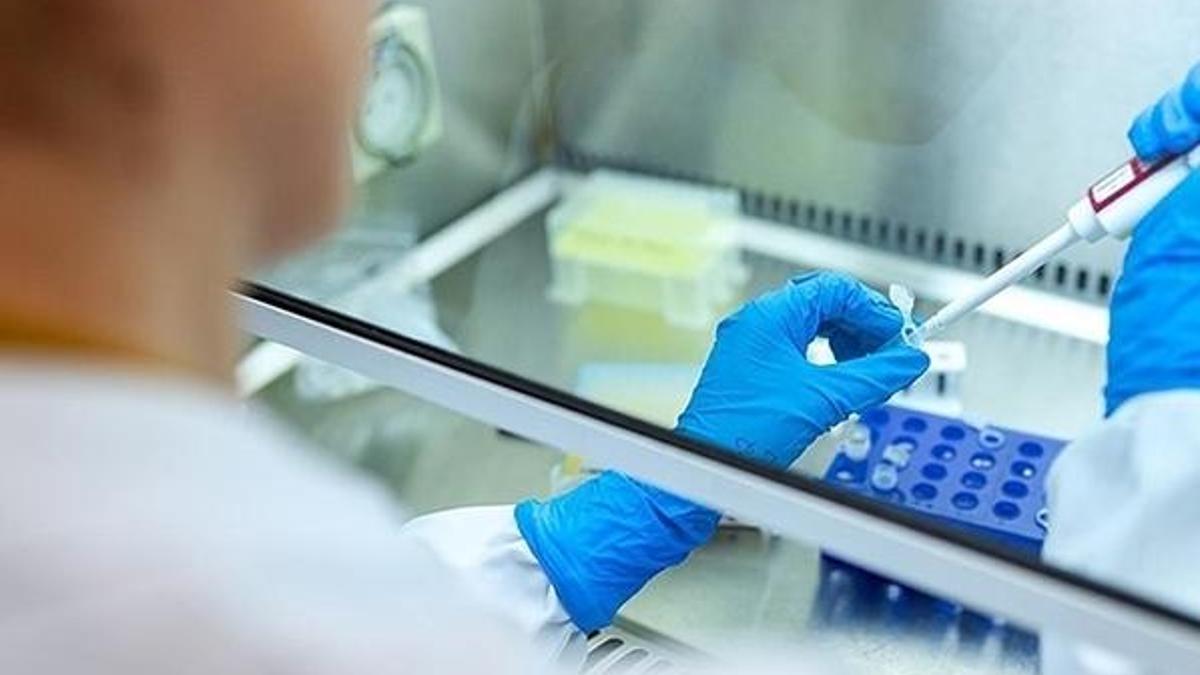3 üniversiteden biyoteknoloji alanında iş birliği