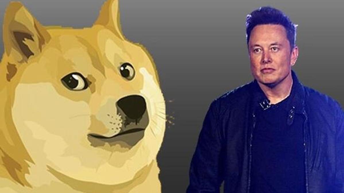 8 Mayıs dogecoin beklentisi! Elon Musk Saturday Night Live programına katılacak! Saturday Night Live saat kaçta başlıyor?