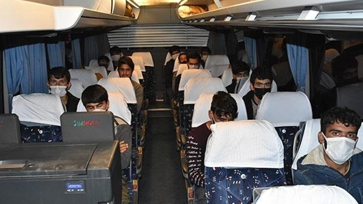 Samsun'da otobüste yurda yasa dışı yollarla giren kişiler yakalandı