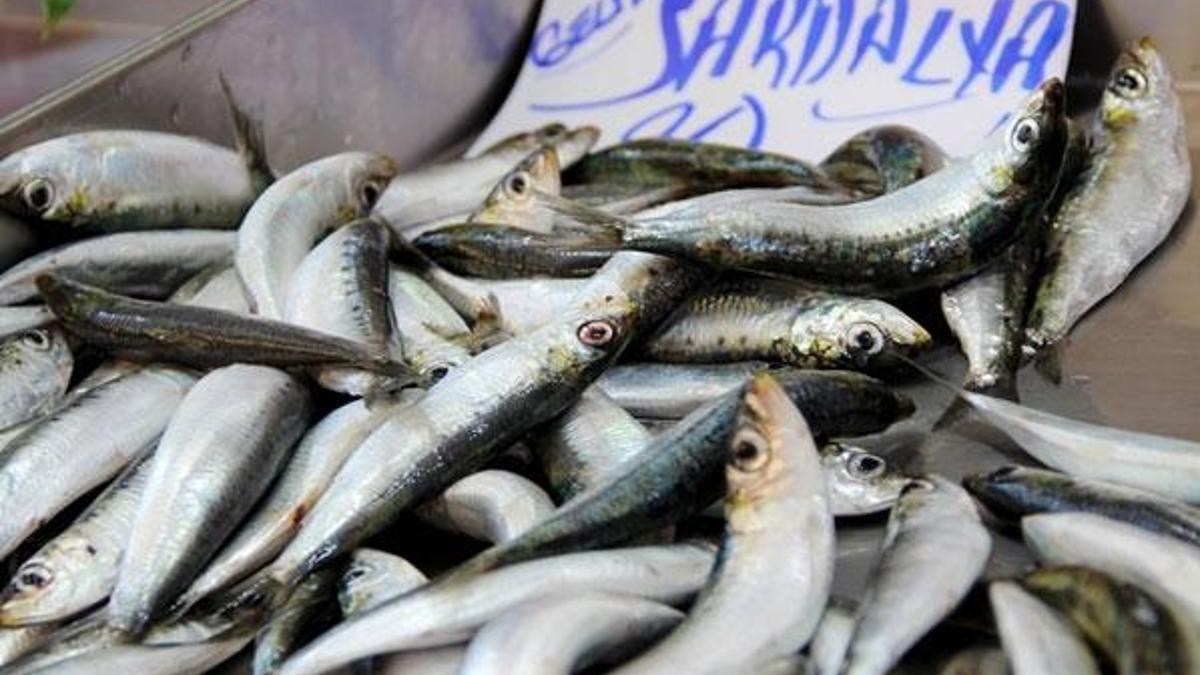 Haftada iki kutu sardalya tüketimi, tip 2 diyabet riskini azaltabilir