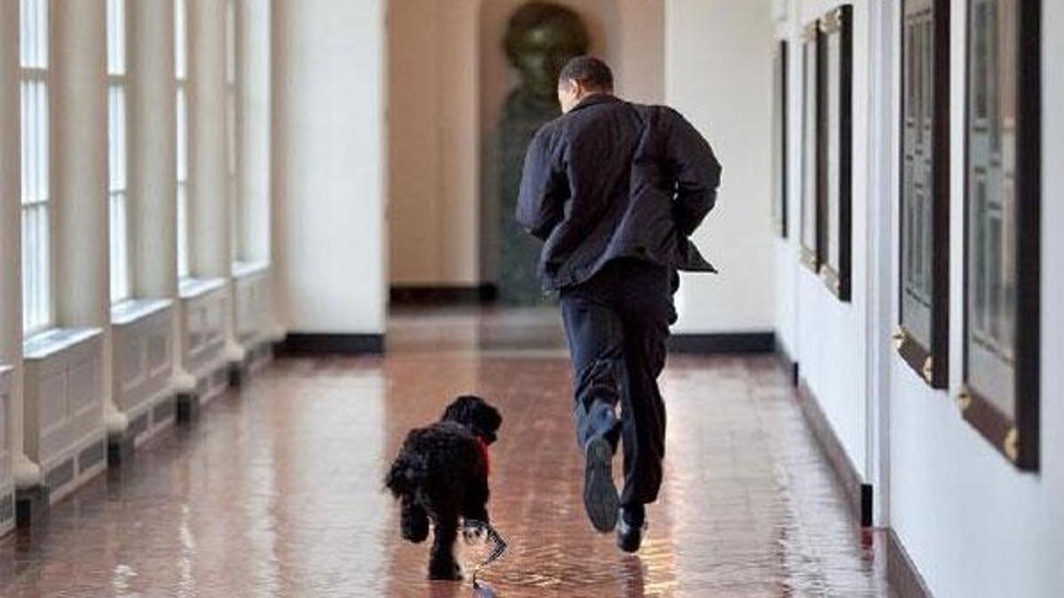 Obama'nın köpeği Bo öldü