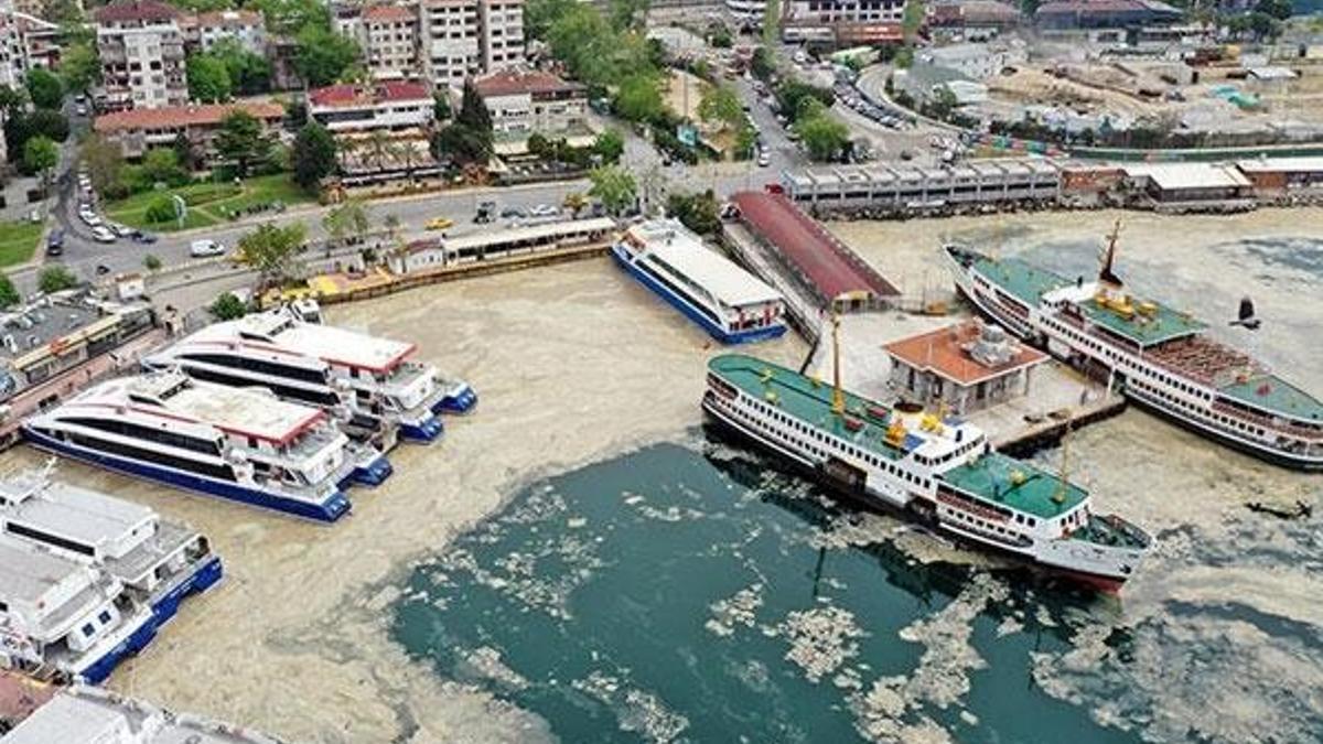 Marmara Denizi'nde büyük tehlike! Öldürüyor