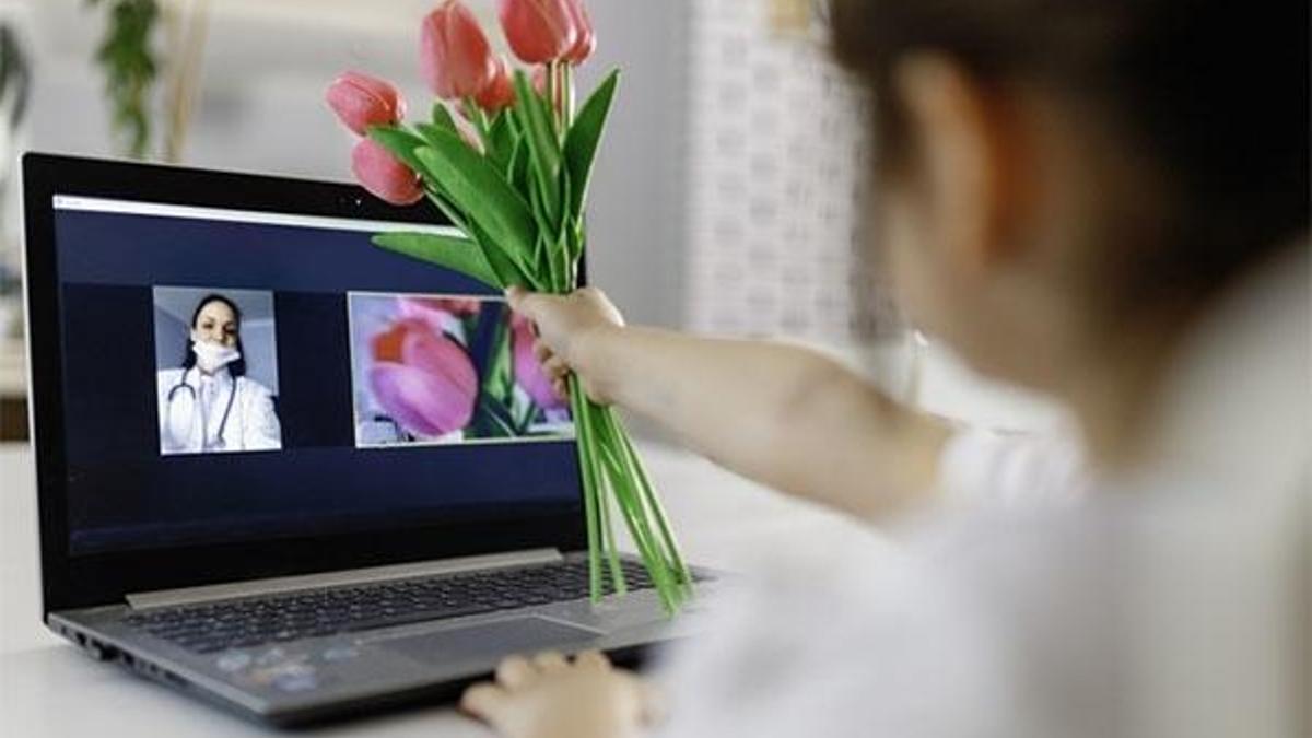Annemin ağacı başvuru ekranı! OGM Annemin Ağacı kampanyası nedir, ücretli mi, fidan sahiplenme bağışı başvurusu nasıl yapılır?