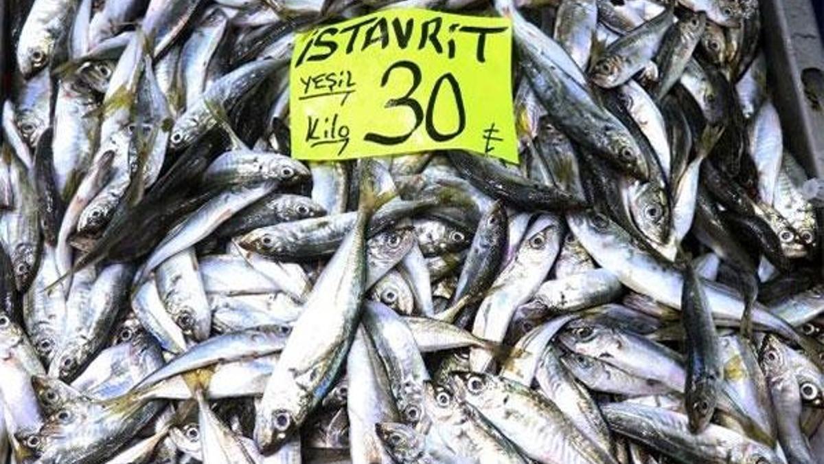 İstavritin kilosu 30 liradan tezgahlarda