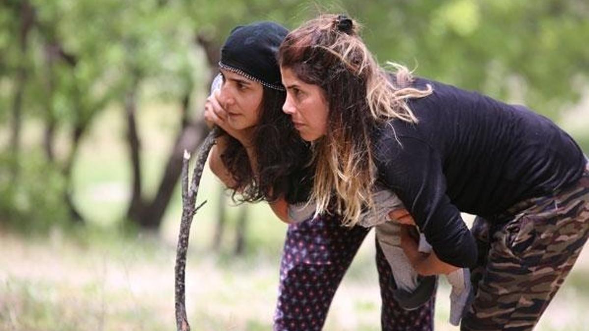 Türkiye'deki en zehirli yılan 'koca engerek' Tunceli'de görüldü!