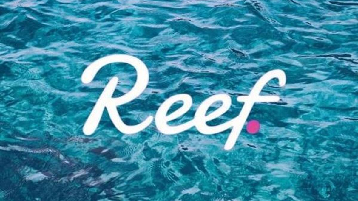 Reef coin nedir? Reef coin ne zaman çıktı, Reef coin nasıl alınır, CEOS’su kim?