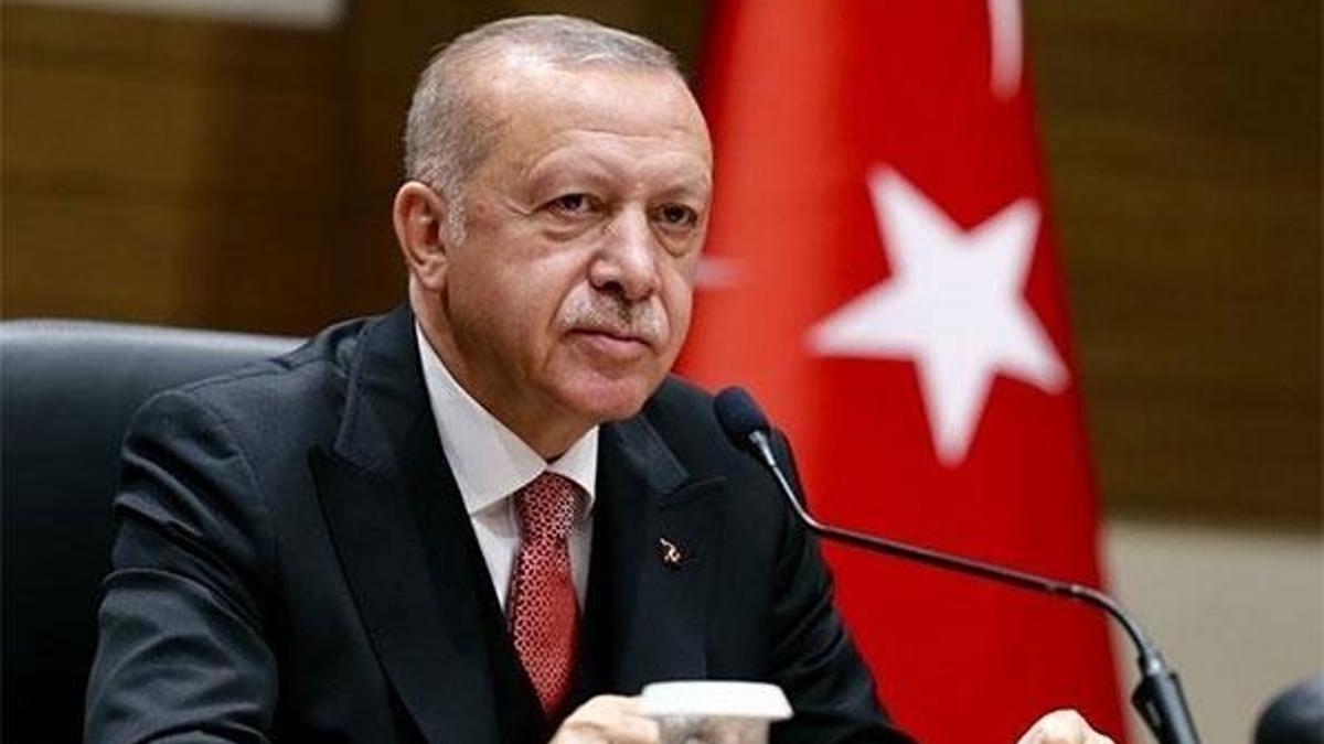 Cumhurbaşkanı Erdoğan'dan kontrollü normalleşme açıklaması!