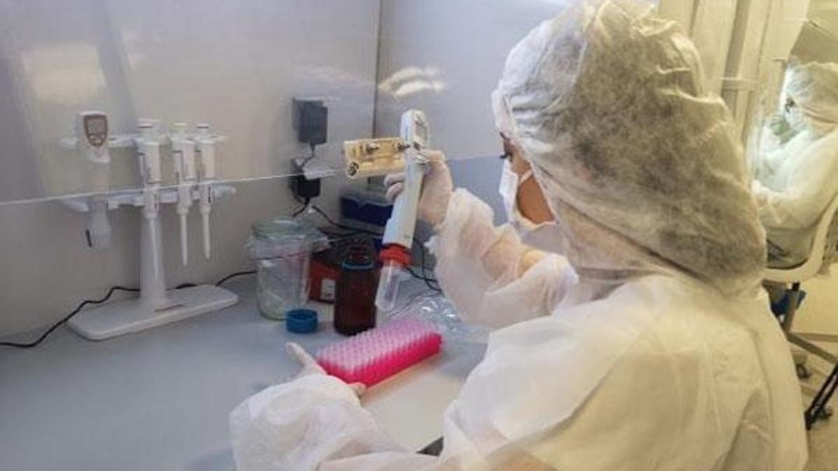 Türkiye'den 50 ülkeye test kiti! Özel uçak gönderen ülke oldu