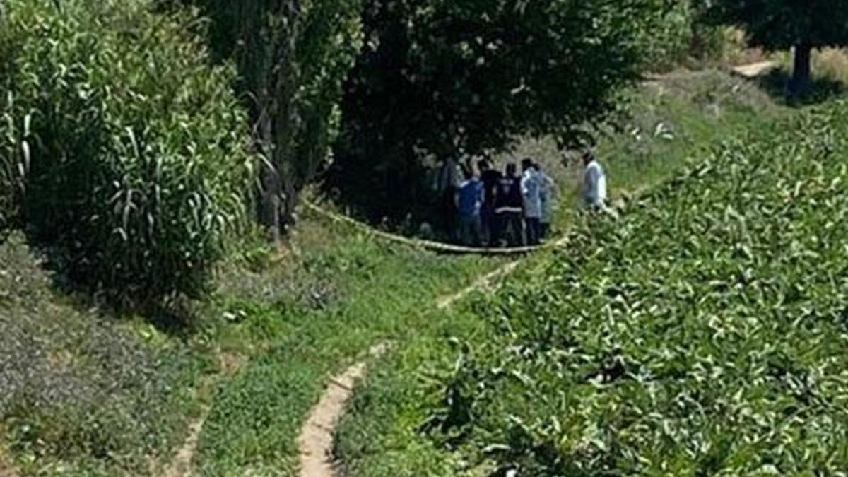 Tarladan gelen köylüler fark etti! Ağaca bu notu bırakıp...