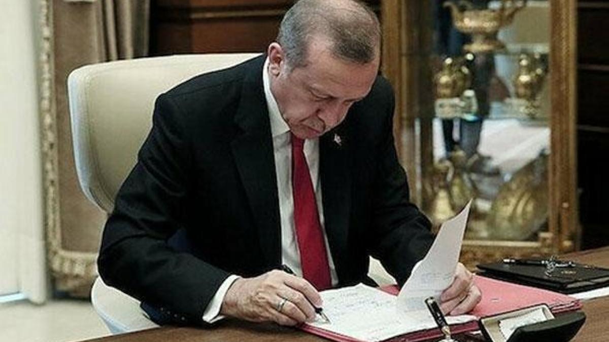 Cumhurbaşkanı Erdoğan imzaladı! 8 fakülte 2 enstitü kuruldu