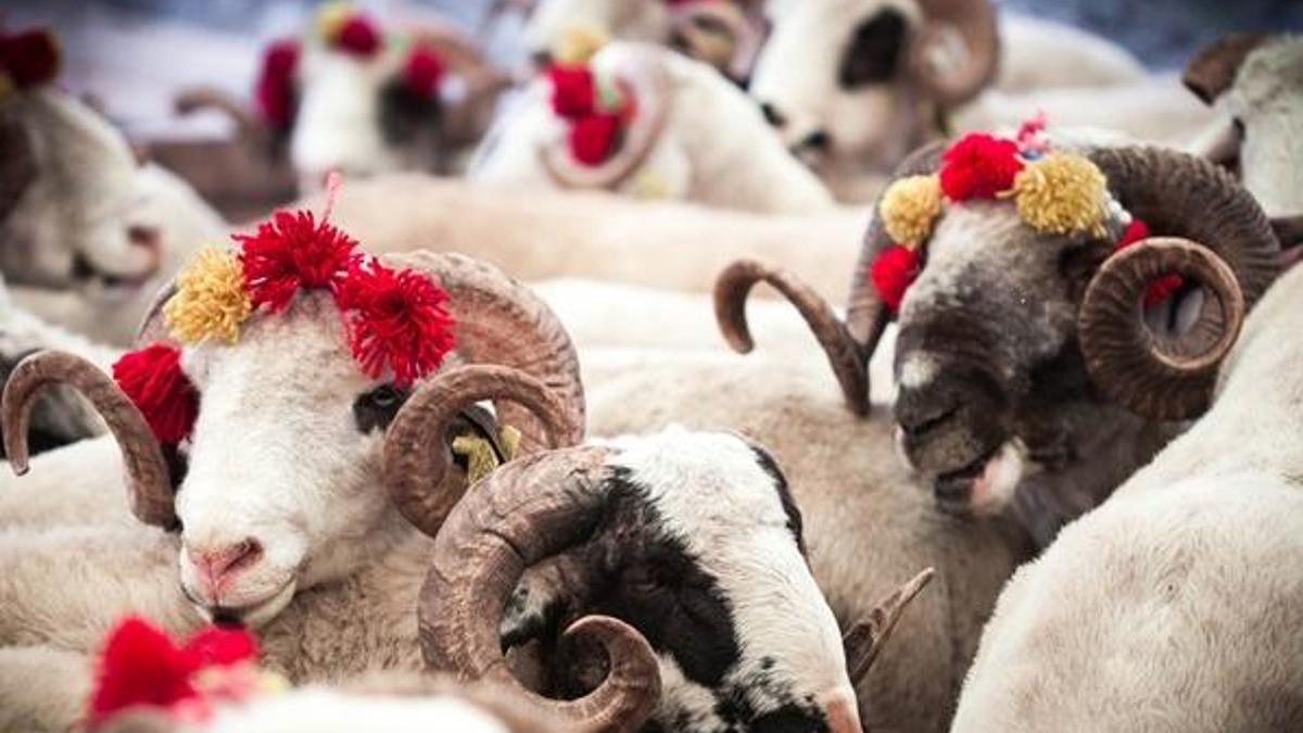 Kurban Bayramı ne zaman, hangi güne denk geliyor? Kurban Bayramı’nın 1. günü ne zaman, kaç gün bayram tatili olacak?