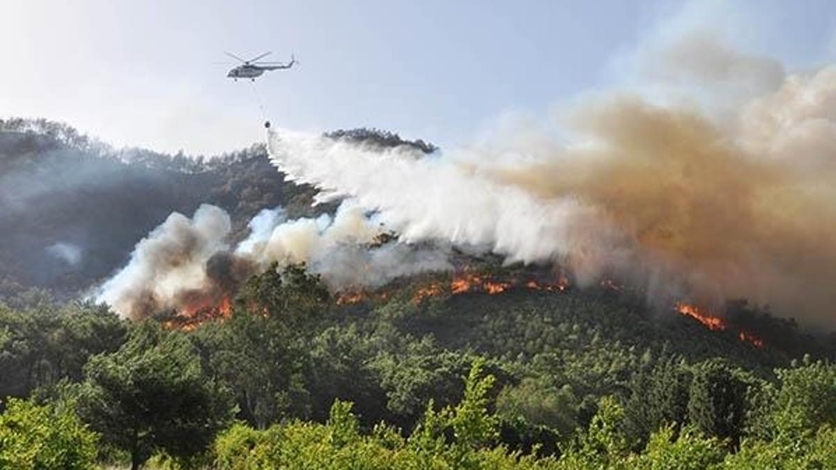 Antalya'da 3 günde 22 yangın! 80 dekar kül oldu