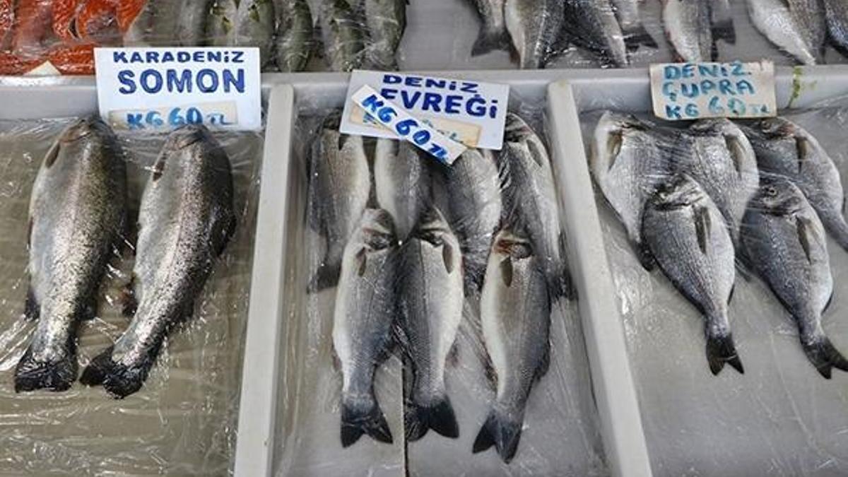 Deniz salyası nedeniyle balık fiyatları düşmüyor