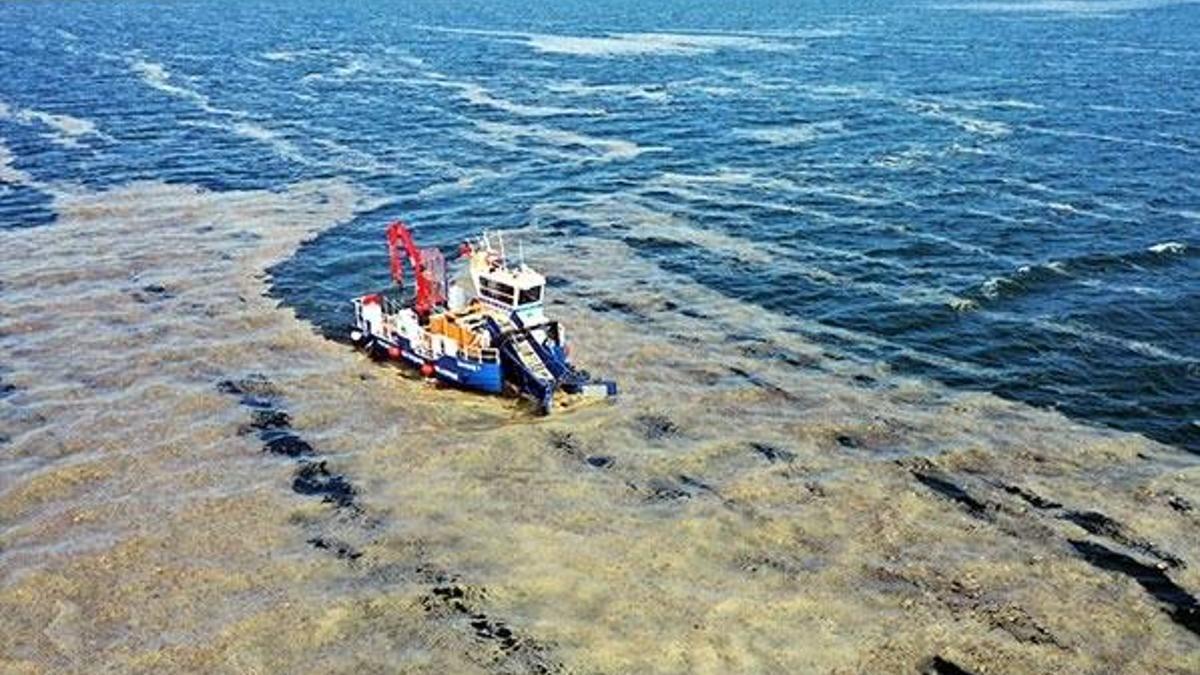 Marmara Denizi’nde müsilaj felaketi! Uzmanlar uyardı: Bu kez çok farklı...