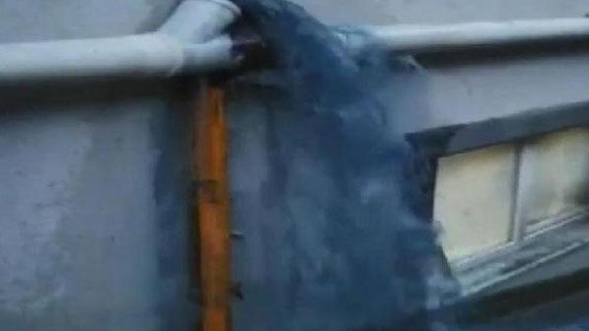 İstanbul'da bir ilçeyi 'mavi su' bastı! İş yerleri çalışamaz hale geldi, sokak köpekleri öldü