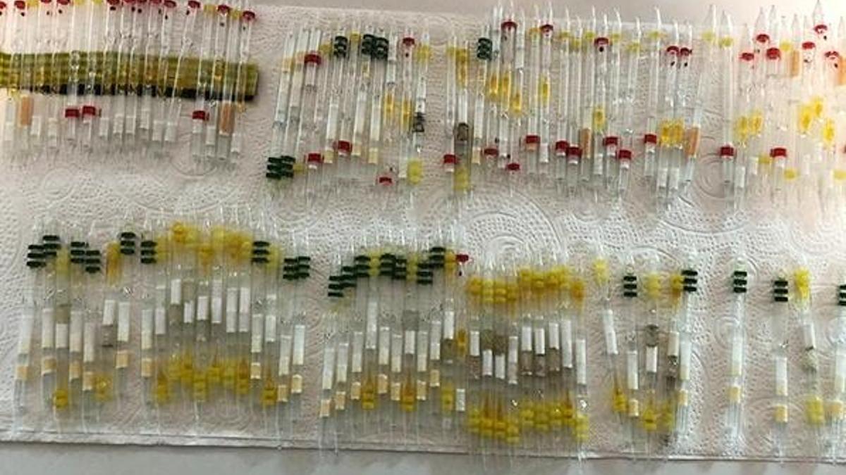 Kobra yılanı zehri ve arı zehri ele geçirildi! Piyasa değeri 3 milyon 350 bin lira