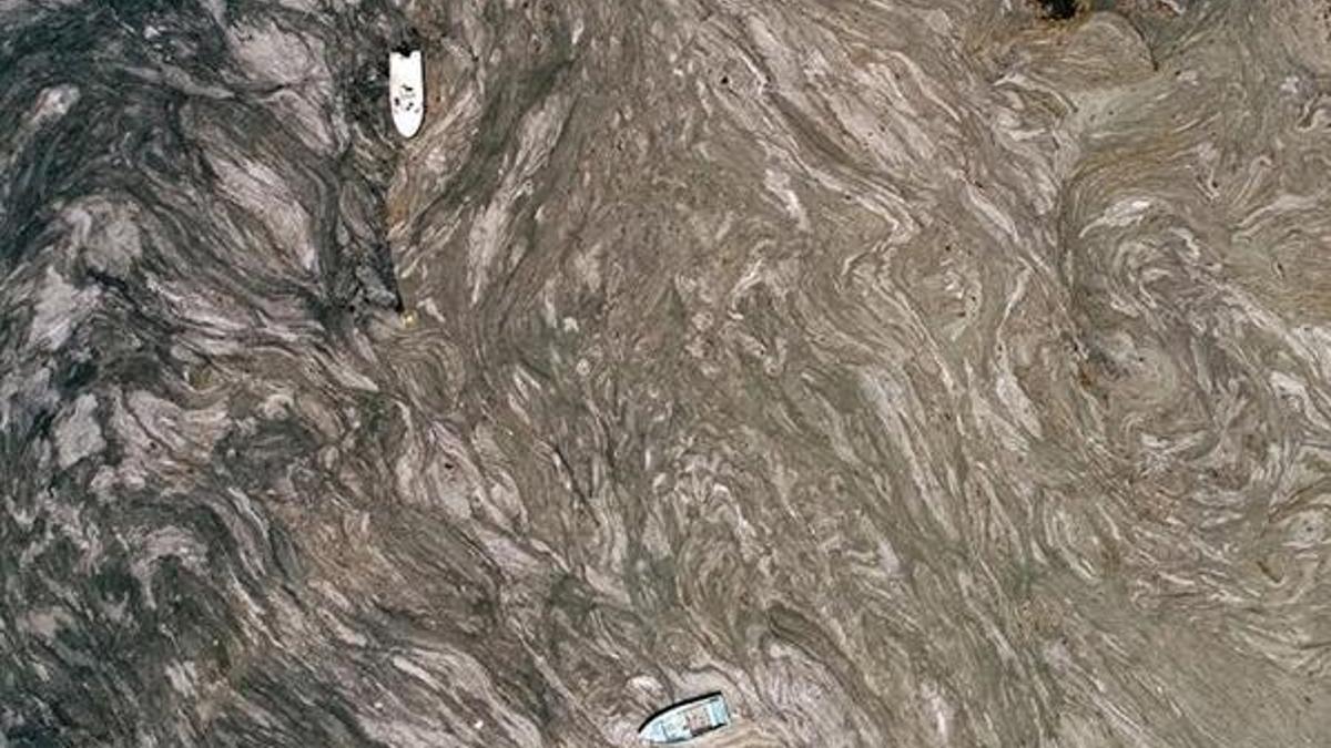 Bakan Kurum: Marmara Denizi'nde 91 noktayı denetliyoruz