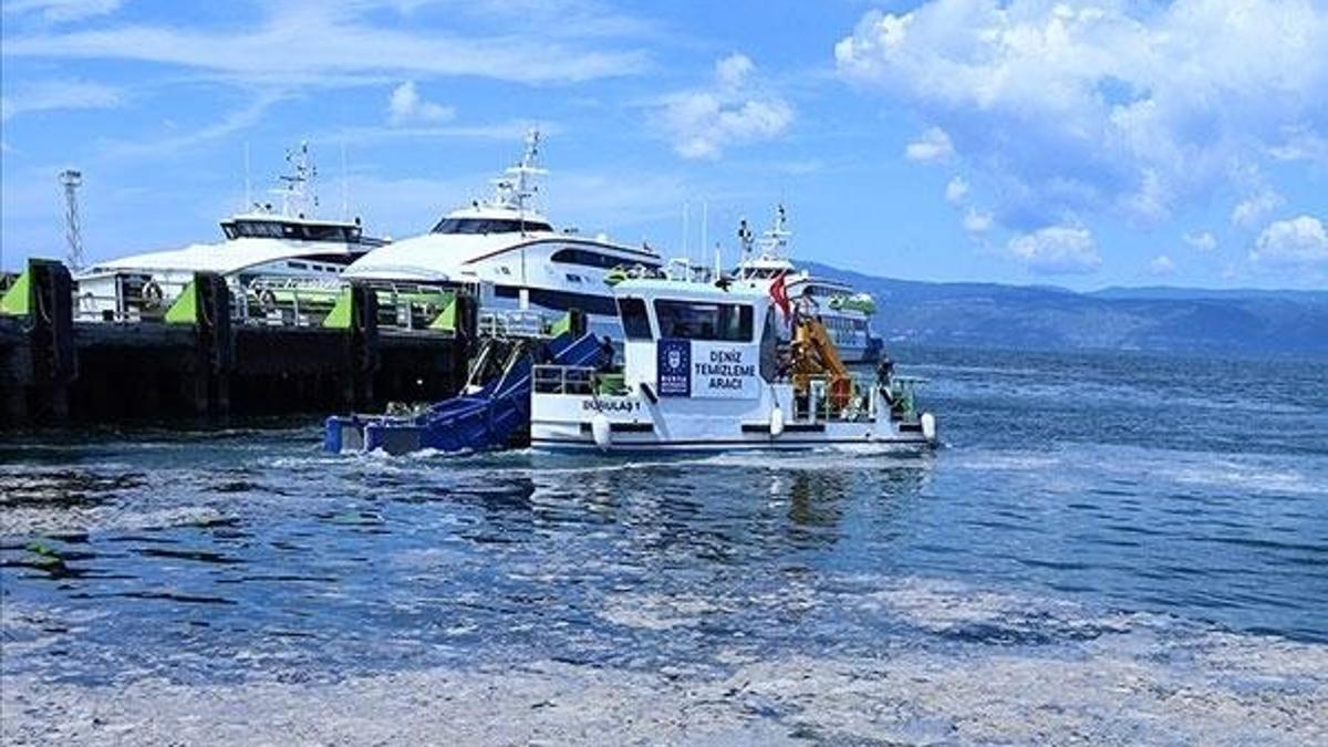 Deniz salyasının tarımdaki kullanım alanları araştırılıyor