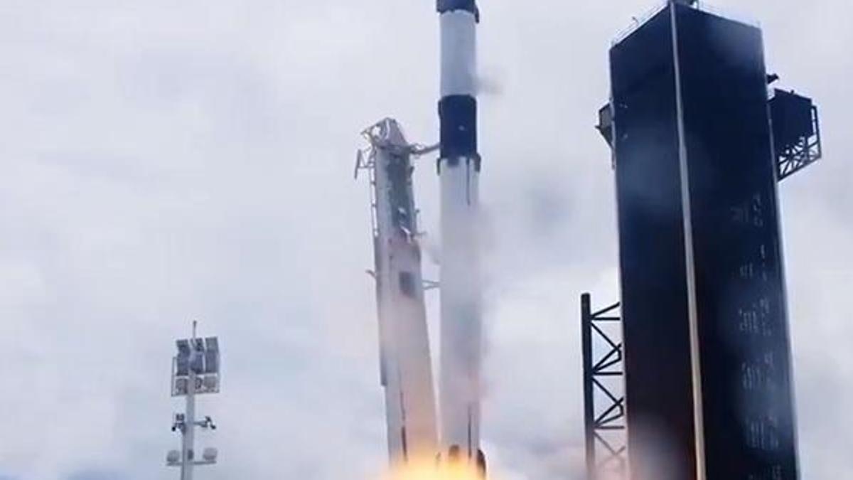 NASA uzaya taze meyve, deniz canlısı ve pamuk fidesi götürdü