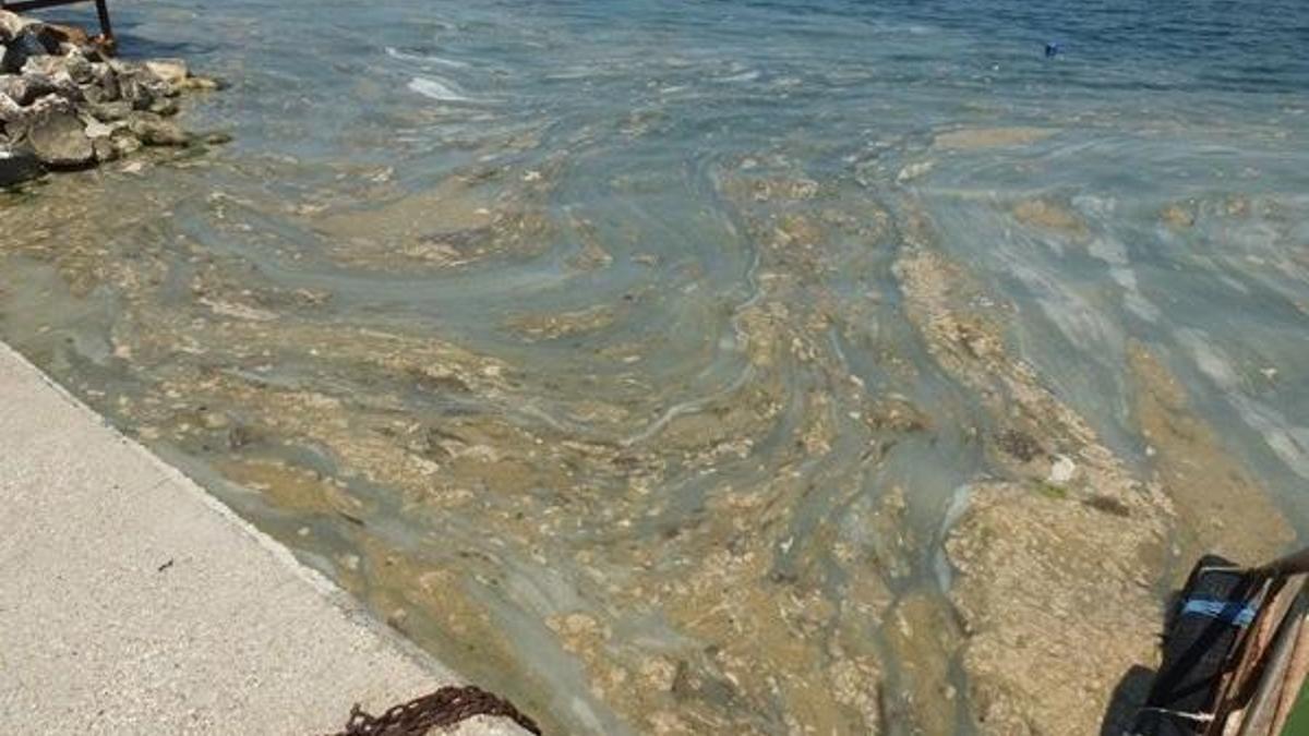 Müsilaj nerelerde var? Deniz salyası nedir, neden olur? İşte Müsilajın zararları
