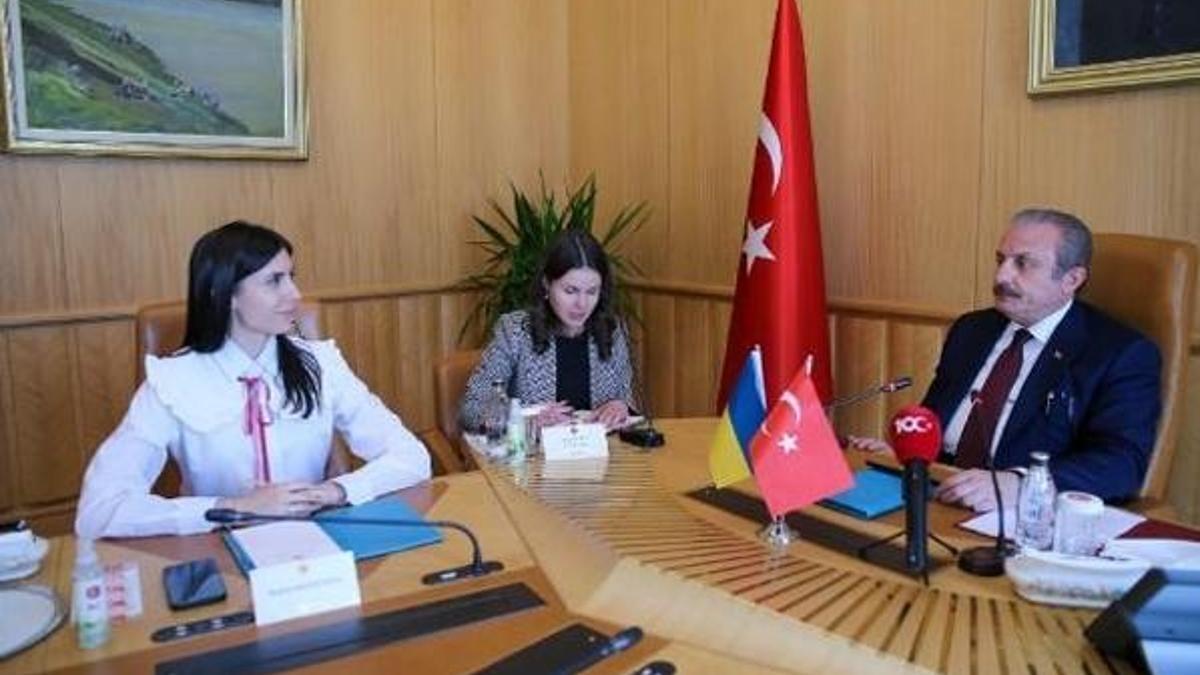 TBMM Başkanı Şentop, AKPM Ukrayna Delegasyonu Başkanı ile görüştü
