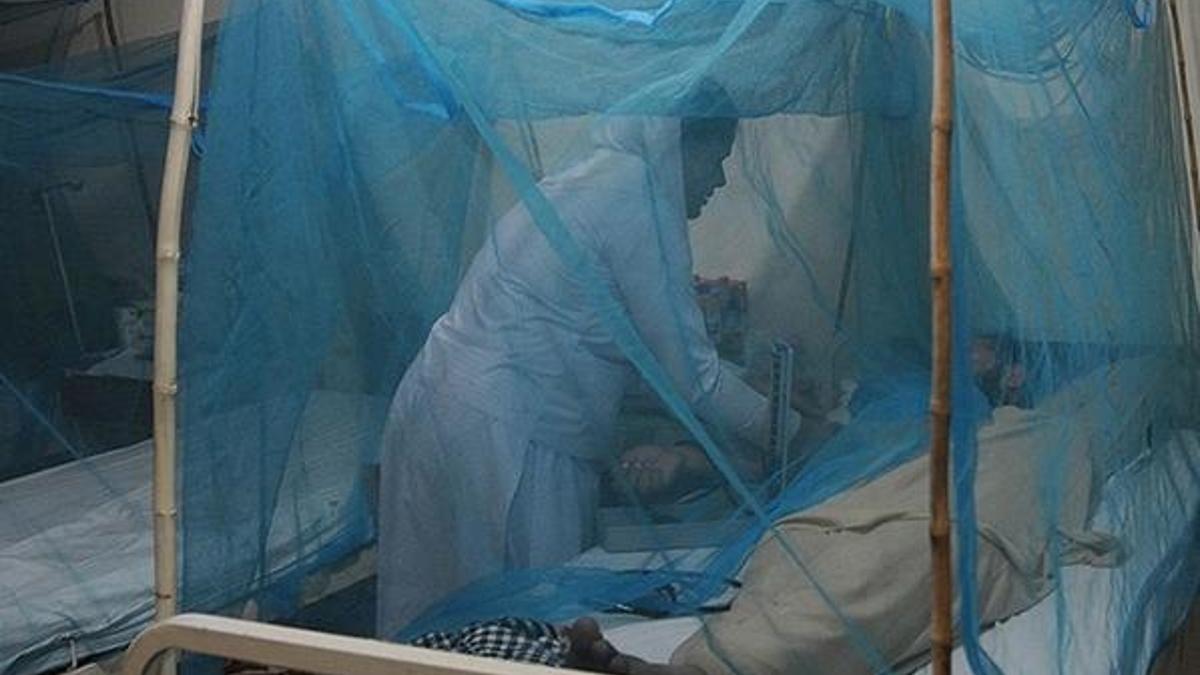 Dang humması vakalarını yüzde 77 azaltmayı başardılar