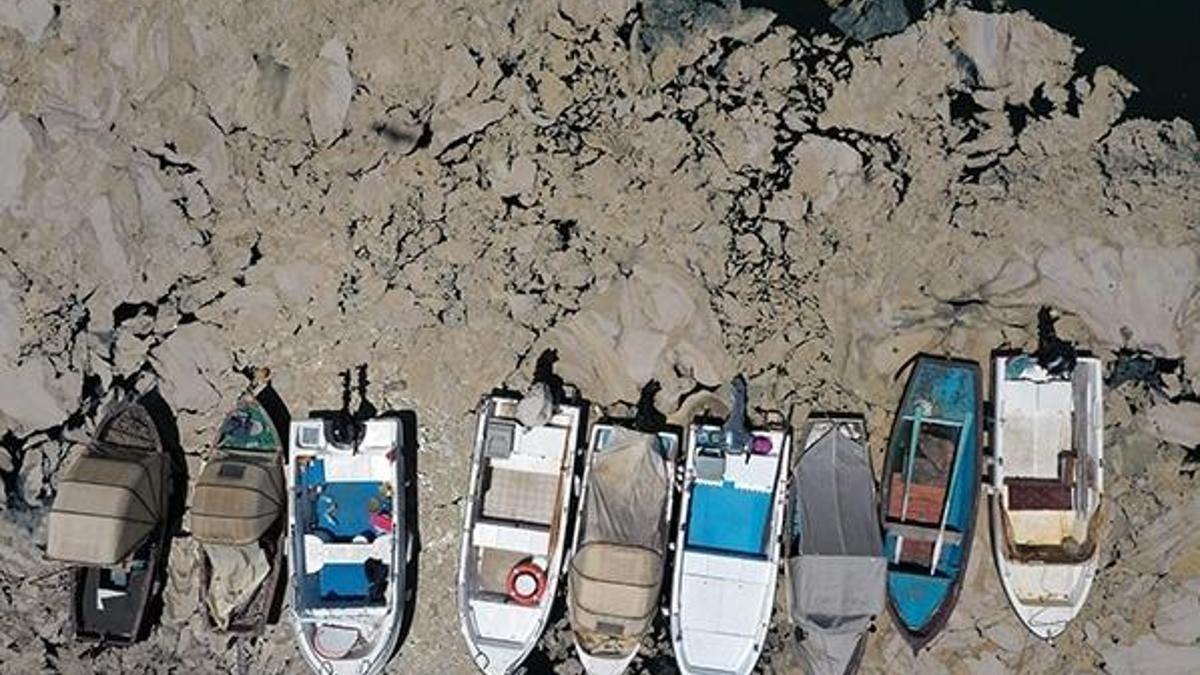 Müsilaj uyarısı! Balık ve midye yemeyin, sahillerde dolaşmayın!