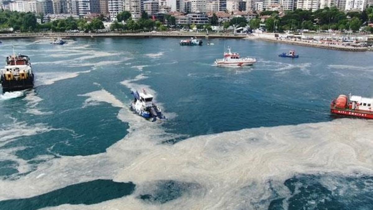 Uzmanından müsilaj uyarısı: Felç riski var