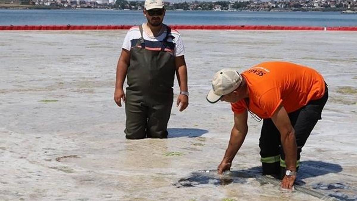 Müsilajda faydalı organizma tespit edildi! Kozmetikte kullanılacak!
